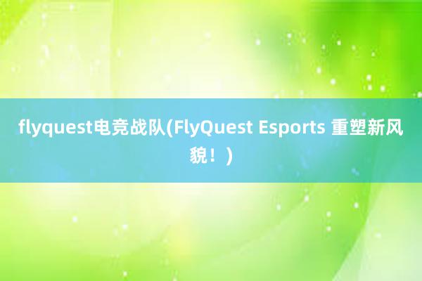 flyquest电竞战队(FlyQuest Esports 重塑新风貌！)
