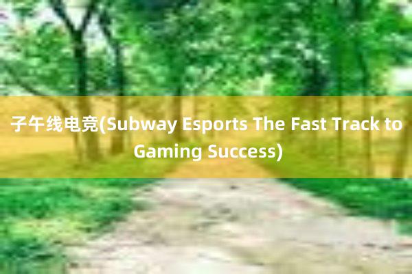 子午线电竞(Subway Esports The Fast Track to Gaming Success)