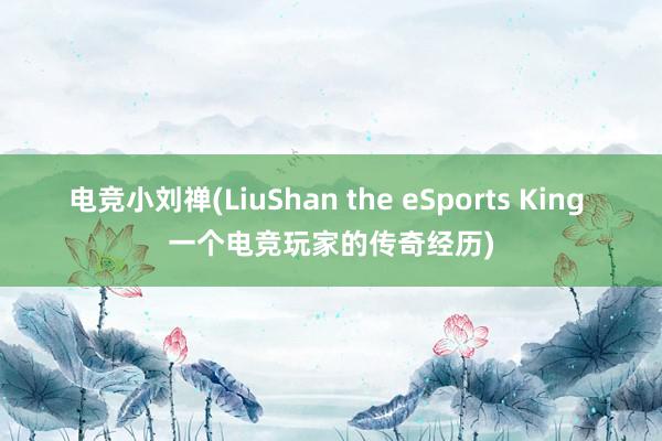 电竞小刘禅(LiuShan the eSports King 一个电竞玩家的传奇经历)