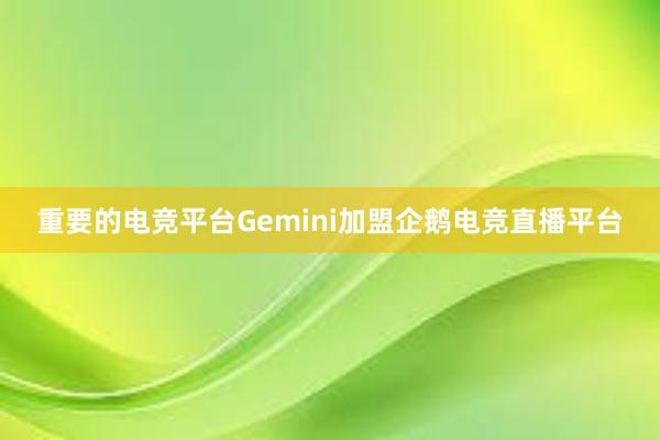 重要的电竞平台Gemini加盟企鹅电竞直播平台